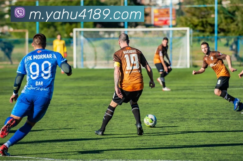 雅虎体育平台生态图