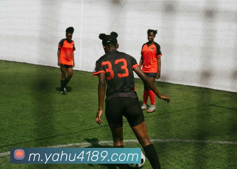 数据防护可视化